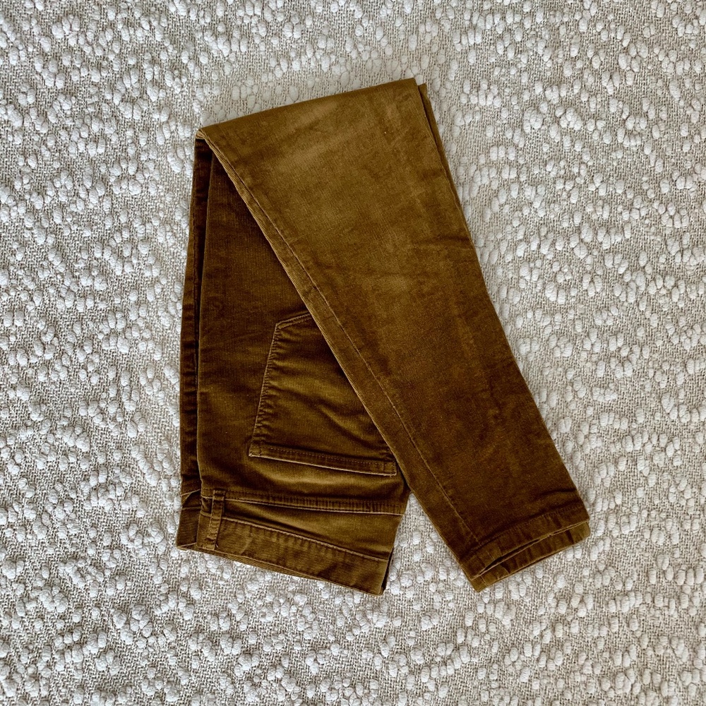 Banana Republic Bronze Skinny Cords